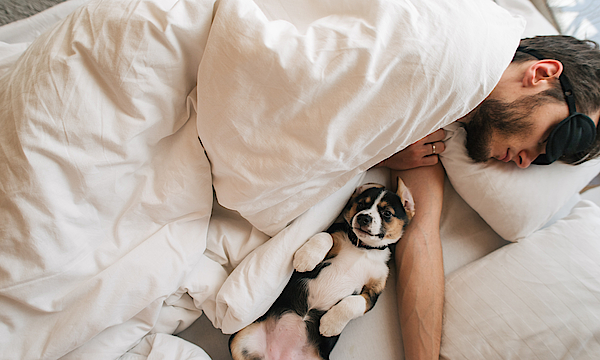 Ein Mann liegt im Bett und schläft die Bettdecke ist bis zum Hals hochgezogen. Er hat eine Schlafbrille auf und ein Hund liegt auf dem Rücken im Bett.