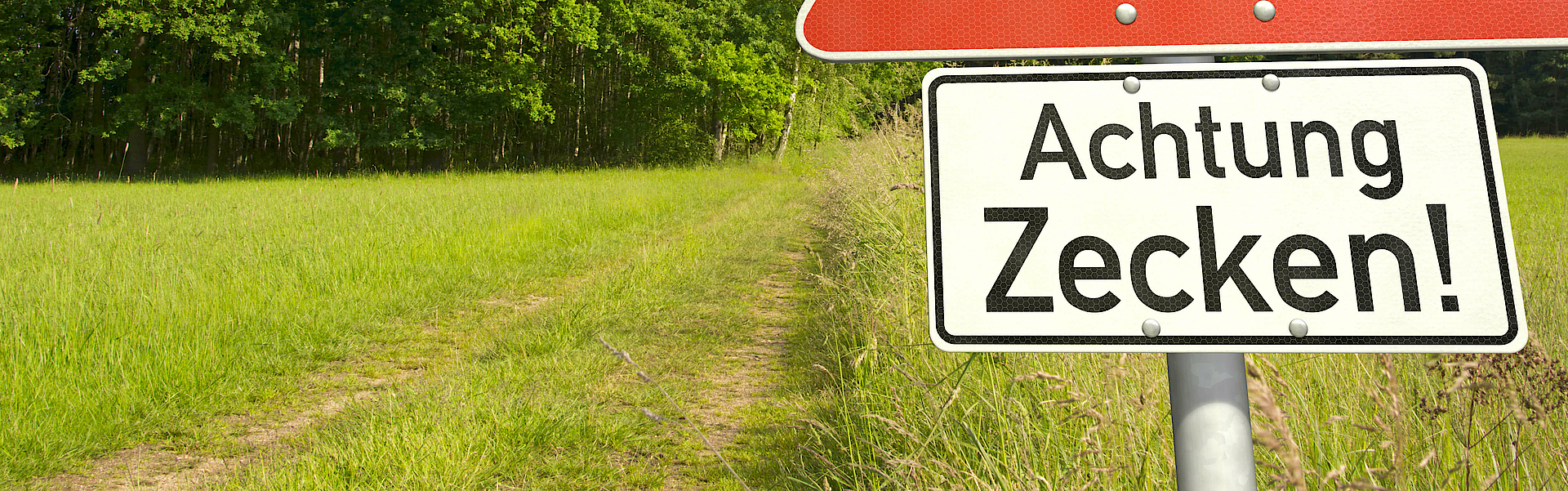 Auf einer Wiese steht ein Schild mit der Aufschrift Achtung Zecken. Im Hintergrund ist ein Wald.