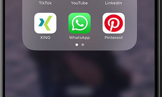 Logo Xing.