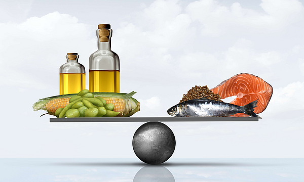 Tierischen und pflanzliche Produkten haben eine gute Wirkung, wenn die Omega-3-Fettsäuren Balance stimmt
