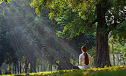 Eine Frau sitzt neben einem Baum im Gras. Im Hintergrund ist ein Wald zu sehen. Die Frau sitzt mit dem Rücken zum Betrachter. Sie trägt ihre langen roten Haare zu einem Zopf.