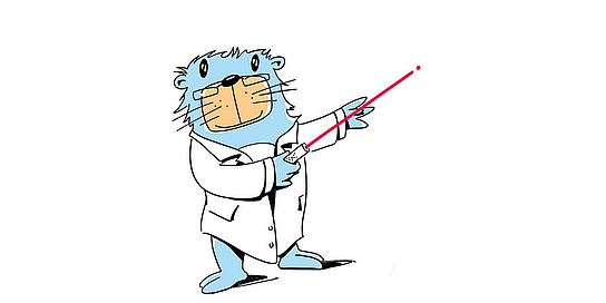 PFIFFIX Professor