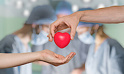 Organspende