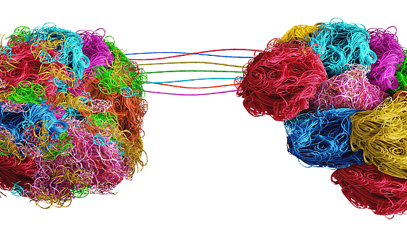 Ein Gehirn aus Wolle baut sich weiter auf. Indem weitere Fäden dazu gelegt werden.