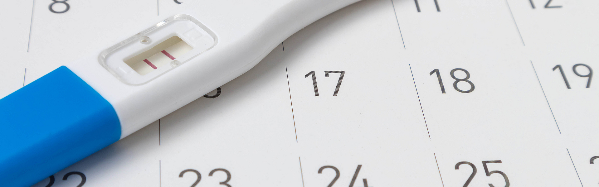 Thermometer und Kalender sind sichtbar, sie helfen die fruchtbarsten Tage zu berechnen