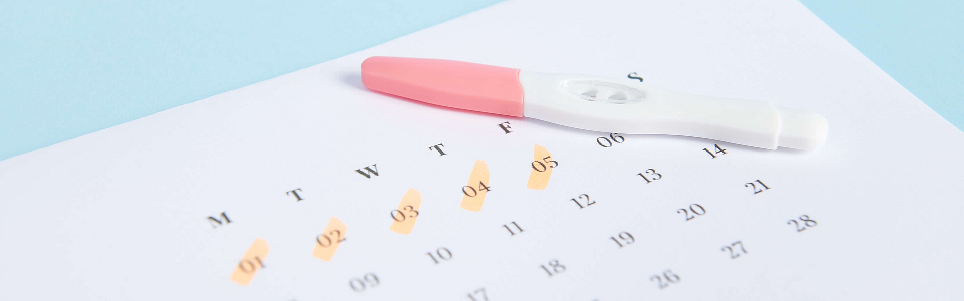 Kalender und Thermometer liegen auf einem Tisch. Mit diesen Objekten lässt sich der Eisprung berechnen. Im Kalender sind einige Tag notiert.