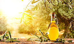 Eine Flasche mit Olivenöl auf einem Holztisch. Um die Flasche herum sind Zweige und Oliven. Die Sonnen scheint.