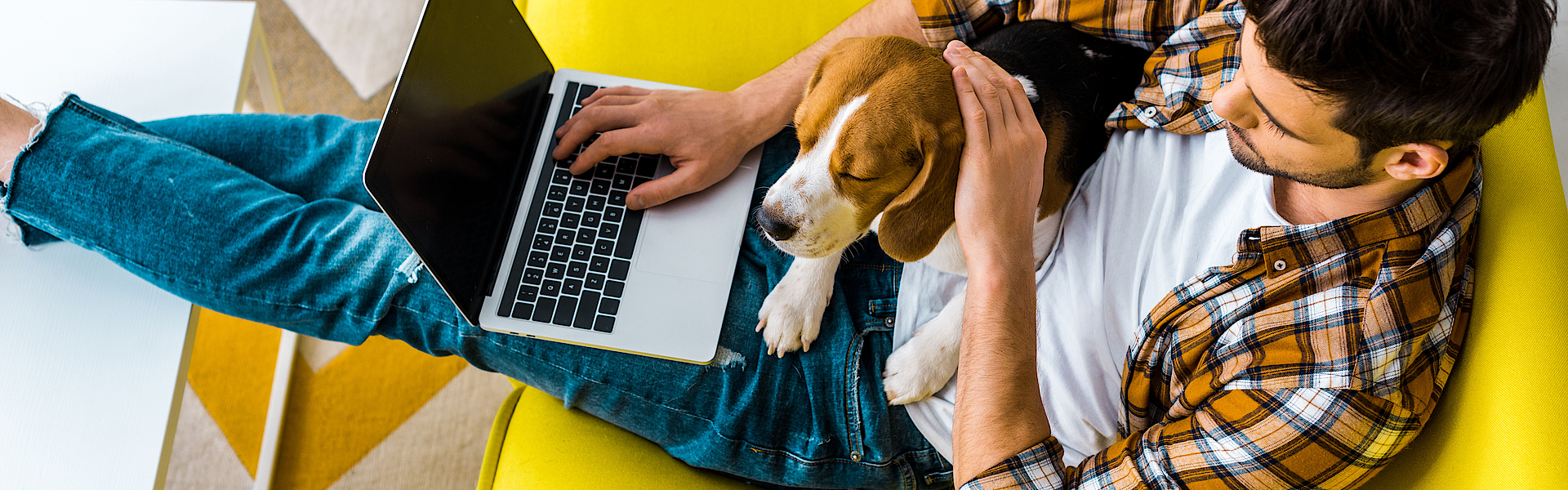 Ein Mann sitzt auf einem gelbe Sofa. Auf seinem Schoß liegt ein Hund. Er hat einen Laptop und surft im Internet.