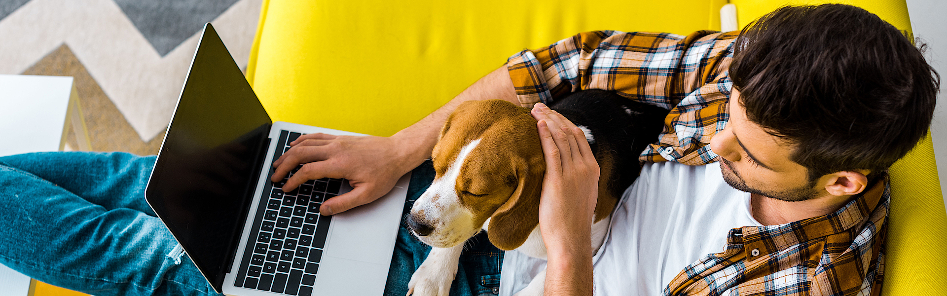 Ein Mann sitzt auf einem gelbe Sofa. Auf seinem Schoß liegt ein Hund. Er hat einen Laptop und surft im Internet.