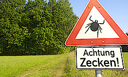 Ein Schild im Grünen mit der Aufschrift: "Achtung Zecken!"