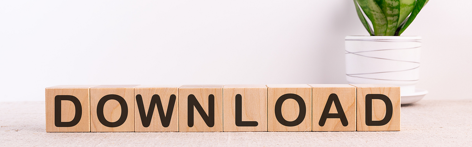 Würfel aus Holz bilden das Wort Download. Sie sind vor einer Pflanze angeordnet.