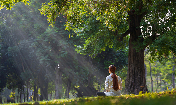 Eine Frau sitzt ganz entspannt am Waldrand auf einer Wiese, wahrscheinlich meditiert sie. Die Sonne scheint zwischen den Ästen hindurch.