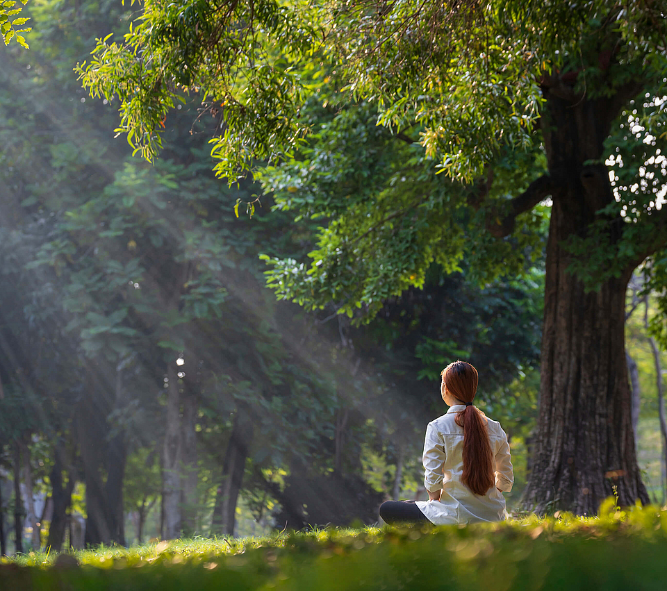 Eine Frau sitzt ganz entspannt am Waldrand auf einer Wiese, wahrscheinlich meditiert sie. Die Sonne scheint zwischen den Ästen hindurch.
