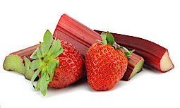 Zwei Erdbeeren liegen an zwei Stücken einer Stange Rhabarber