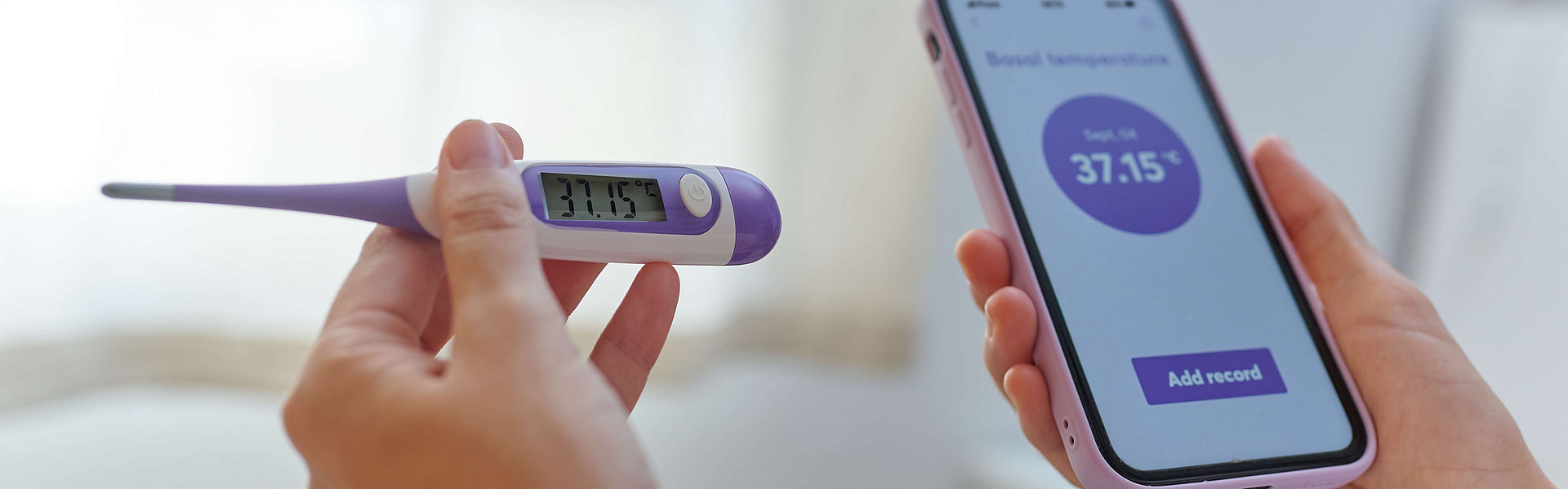 Nahaufnahme von Händen einer Frau, die ein Basalthermometer und Smartphone halten, dass die Basaltemperatur anzeigt.