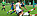 Zwei Fußballmannschaten spielen ein Match gegeneinander. Es geht hoch her im Kampf um den Ball.