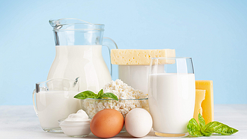 Proteinhaltige Lebensmittel wie Eier, Milch, Käse stehen auf einem Tisch