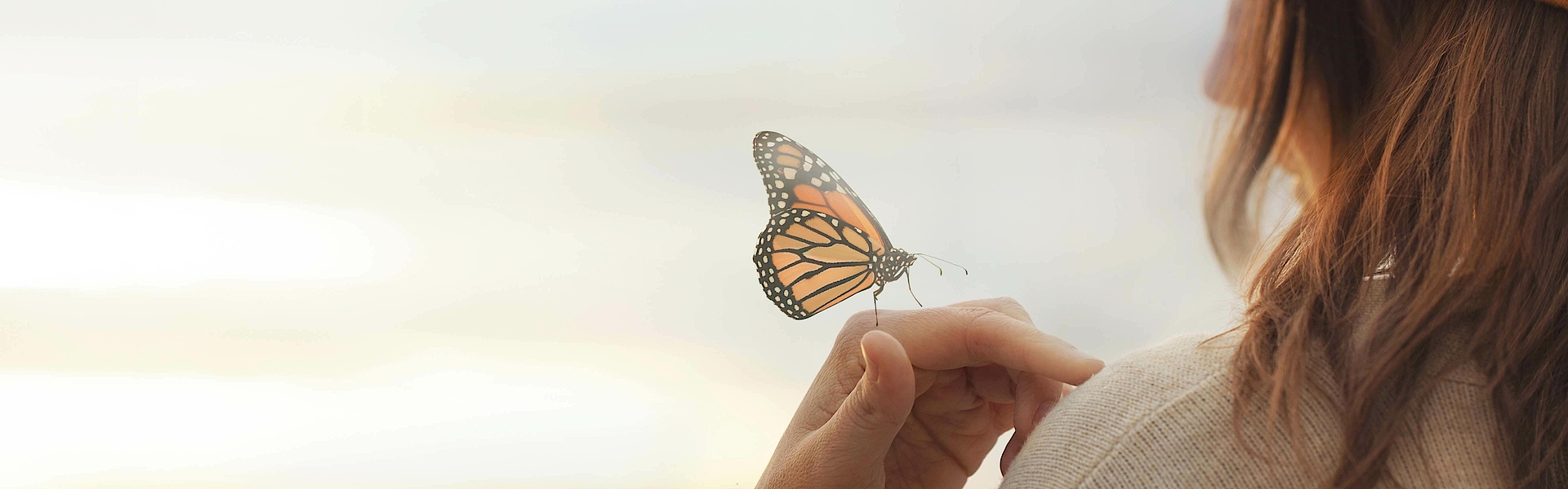 Eine Frau hält einen Schmetterling in der Hand. Sie schaut entspannt auf diesen Schmetterling.