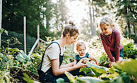 Zwei kleine Kinder stehen mit einer jungen Frau in einem Gemüsebeet und betrachten die Pflanzen.