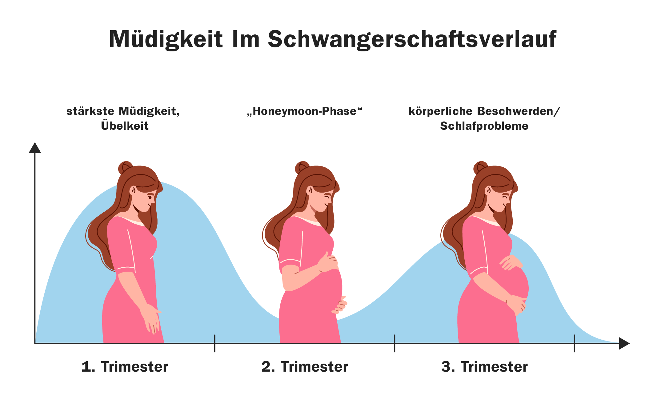Die Grafik zeigt, dass die Müdigkeit im ersten Trimester am stärksten ist, im zweiten Trimester ist die sogenannte Honeymoon-Phase, im dritten Trimester kommt es wieder zu körperlichen Beschwerden und Schlafproblemen.